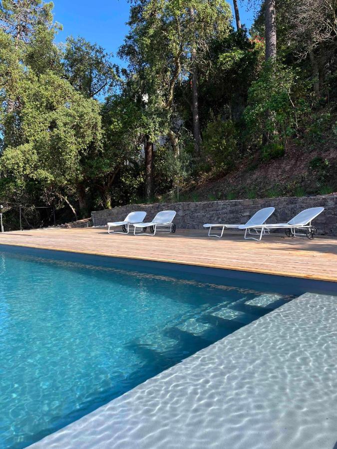 Villa Ormarine, Vue Exceptionnelle Sur La Baie De Cannes Et Le Mercantour 雷阿德雷德雷斯泰勒 外观 照片