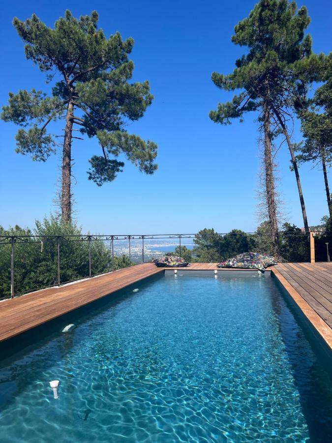 Villa Ormarine, Vue Exceptionnelle Sur La Baie De Cannes Et Le Mercantour 雷阿德雷德雷斯泰勒 外观 照片