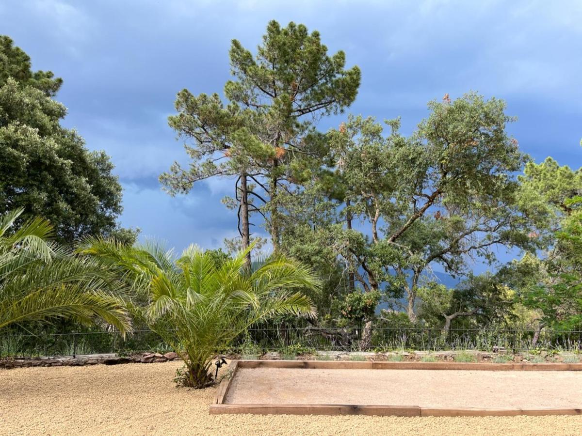 Villa Ormarine, Vue Exceptionnelle Sur La Baie De Cannes Et Le Mercantour 雷阿德雷德雷斯泰勒 外观 照片