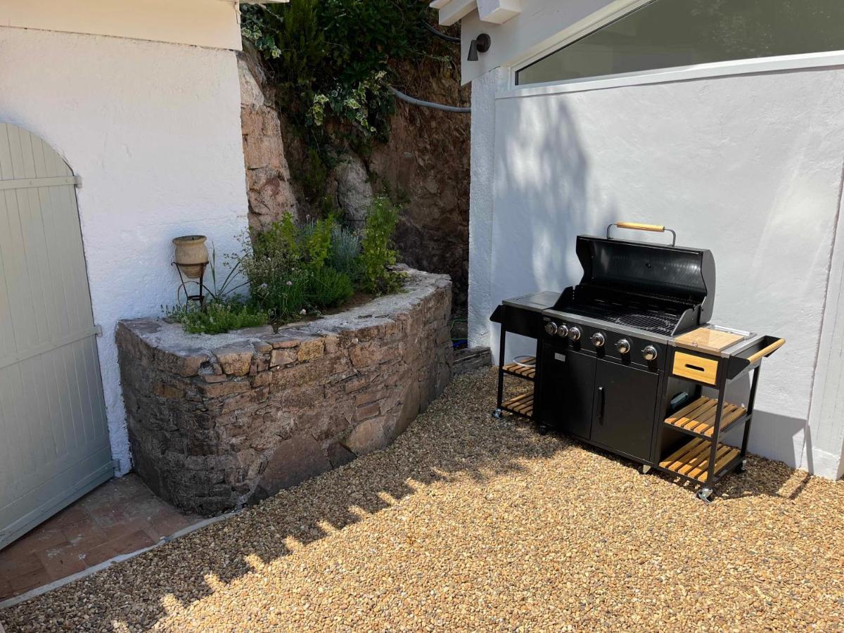 Villa Ormarine, Vue Exceptionnelle Sur La Baie De Cannes Et Le Mercantour 雷阿德雷德雷斯泰勒 外观 照片