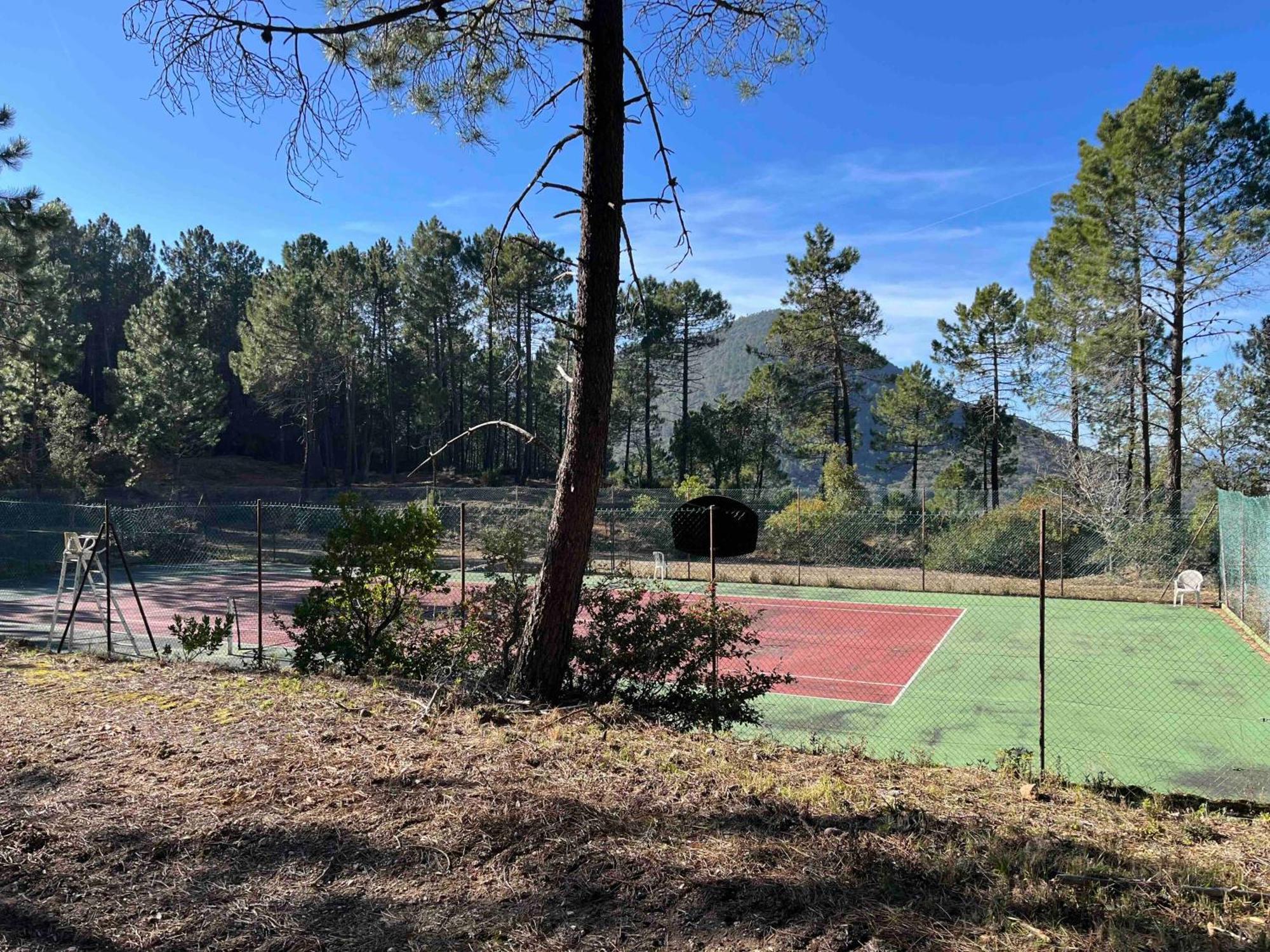 Villa Ormarine, Vue Exceptionnelle Sur La Baie De Cannes Et Le Mercantour 雷阿德雷德雷斯泰勒 外观 照片
