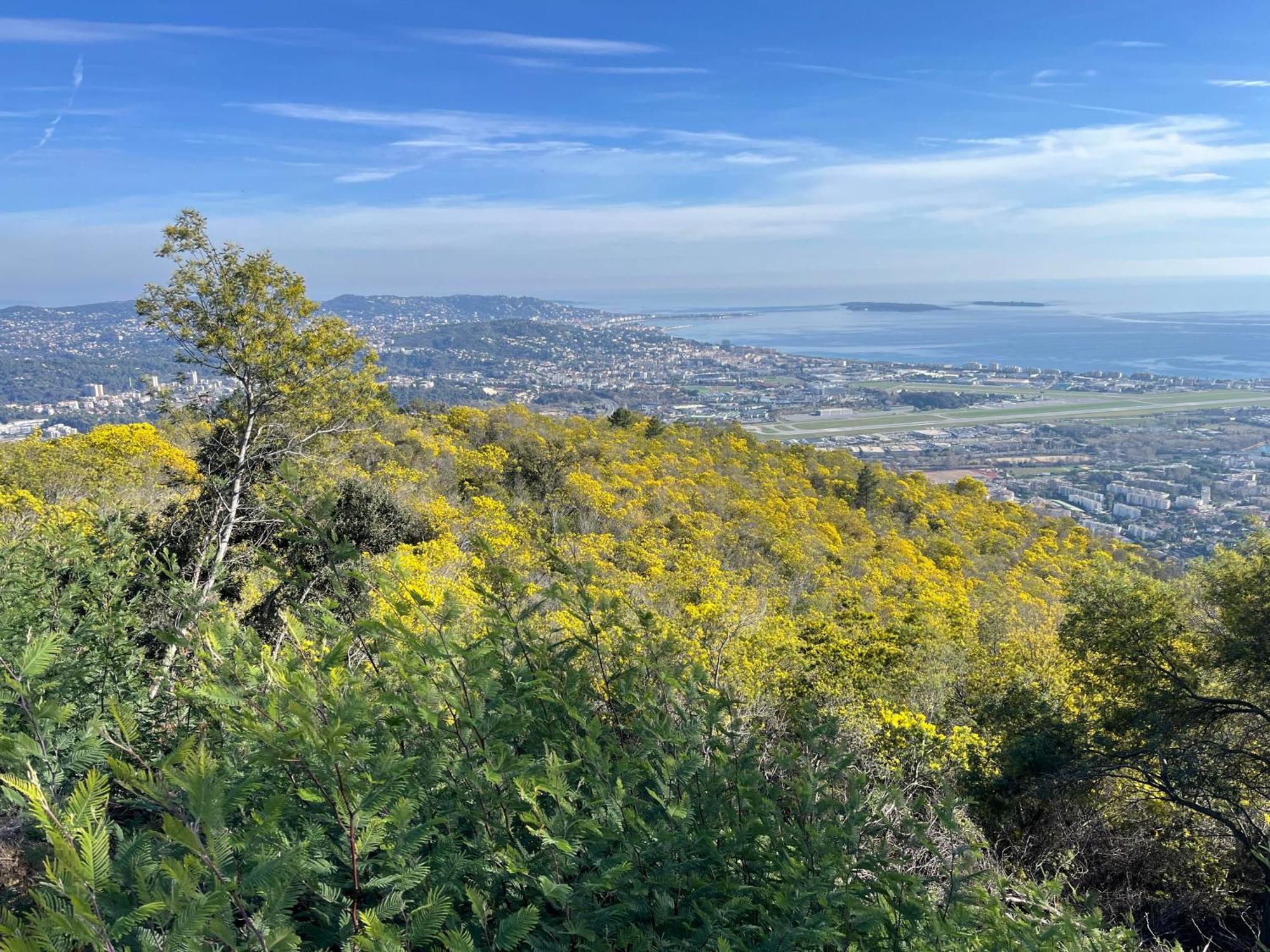 Villa Ormarine, Vue Exceptionnelle Sur La Baie De Cannes Et Le Mercantour 雷阿德雷德雷斯泰勒 外观 照片