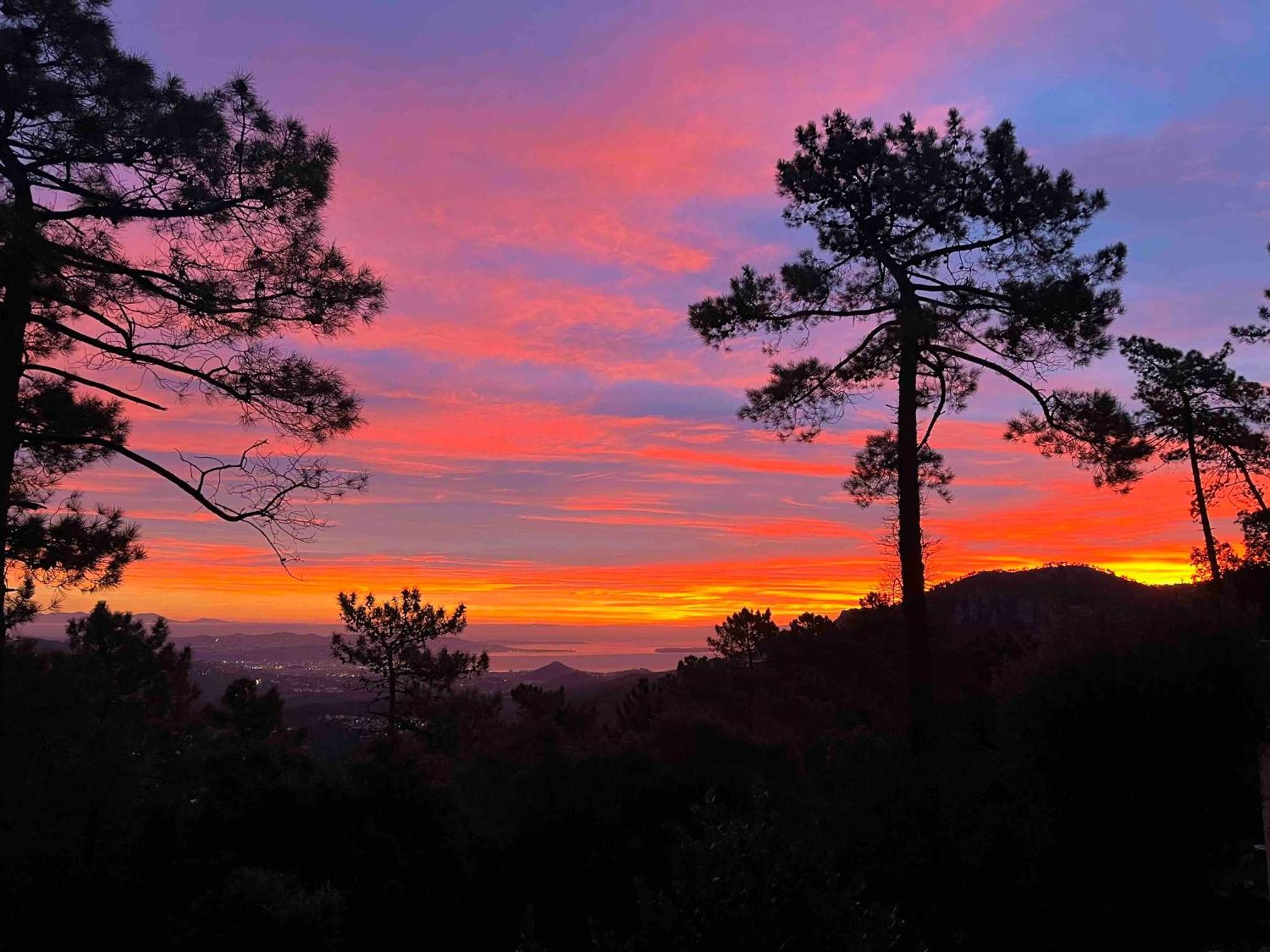 Villa Ormarine, Vue Exceptionnelle Sur La Baie De Cannes Et Le Mercantour 雷阿德雷德雷斯泰勒 外观 照片