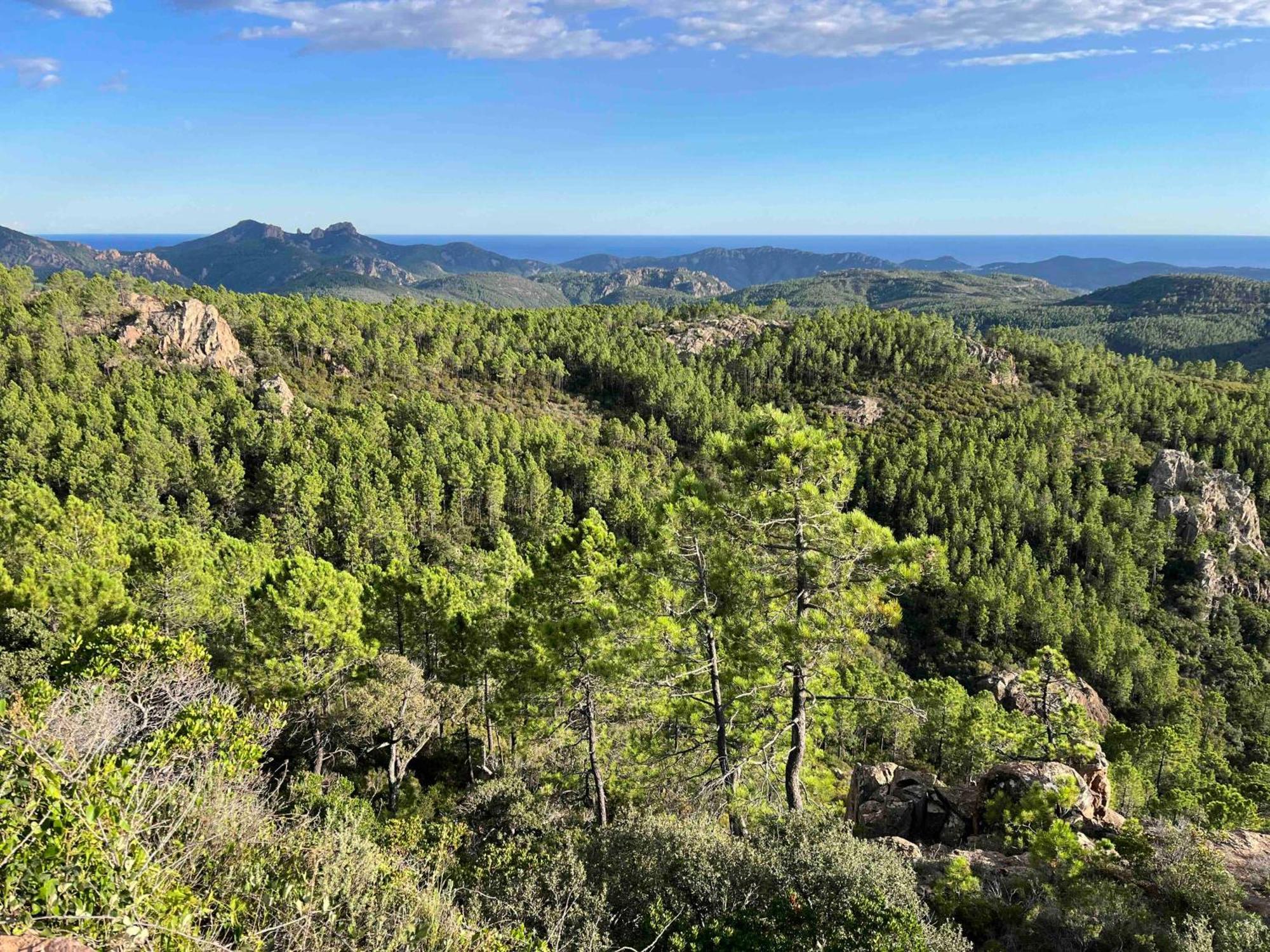 Villa Ormarine, Vue Exceptionnelle Sur La Baie De Cannes Et Le Mercantour 雷阿德雷德雷斯泰勒 外观 照片